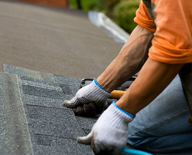 Roof Gutter Cleaning in St Paul, TX
