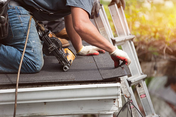 Best Gutter Installation and Roofing  in St Paul, TX